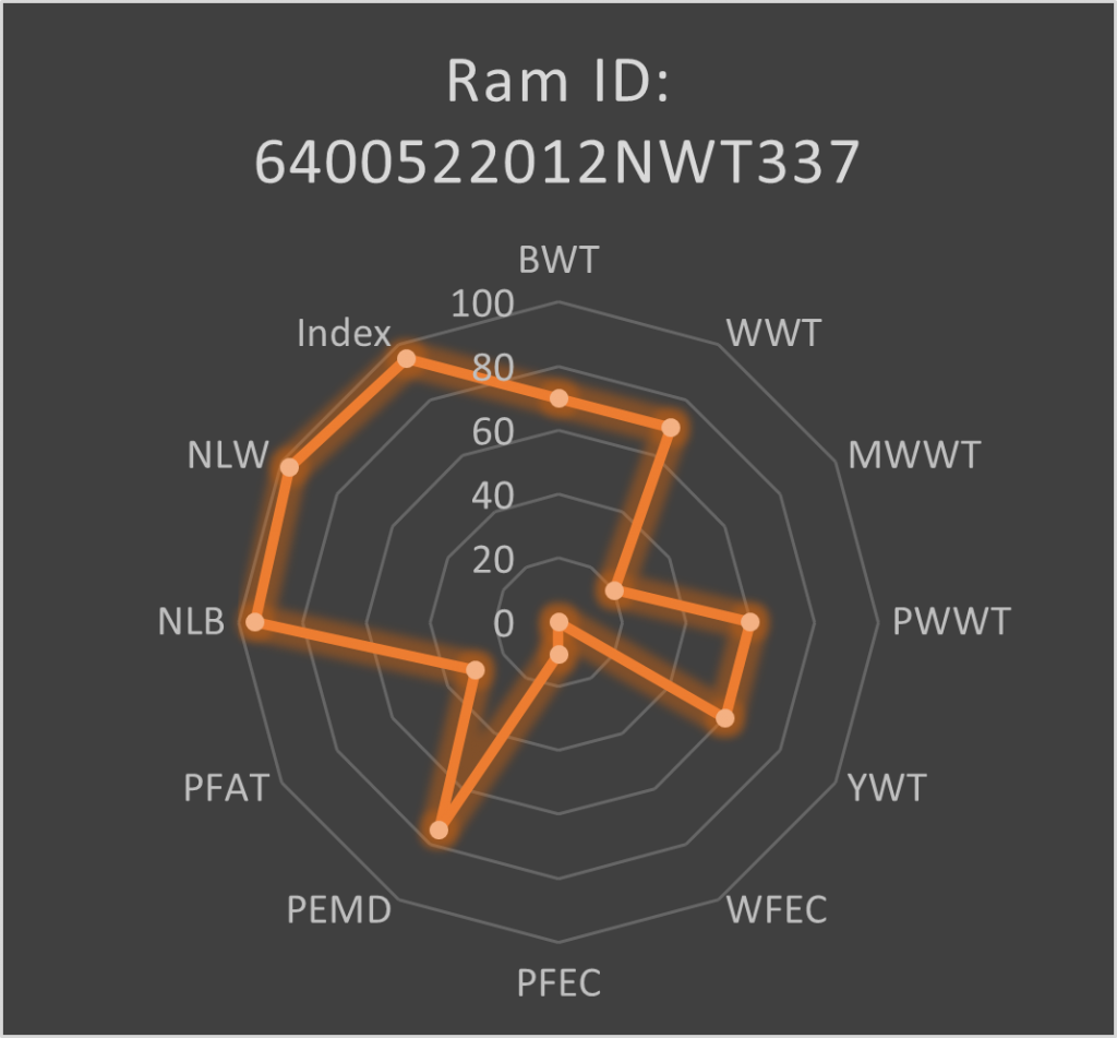 NWT 337