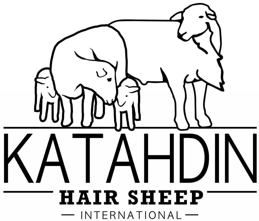 KHSI logo