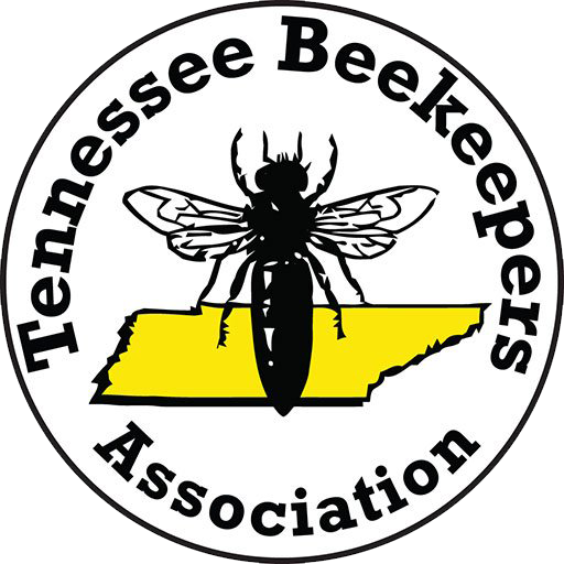 TBA logo